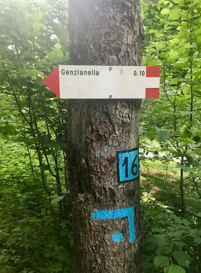 Genzianella Molveno-Andalo Leilighet Eksteriør bilde
